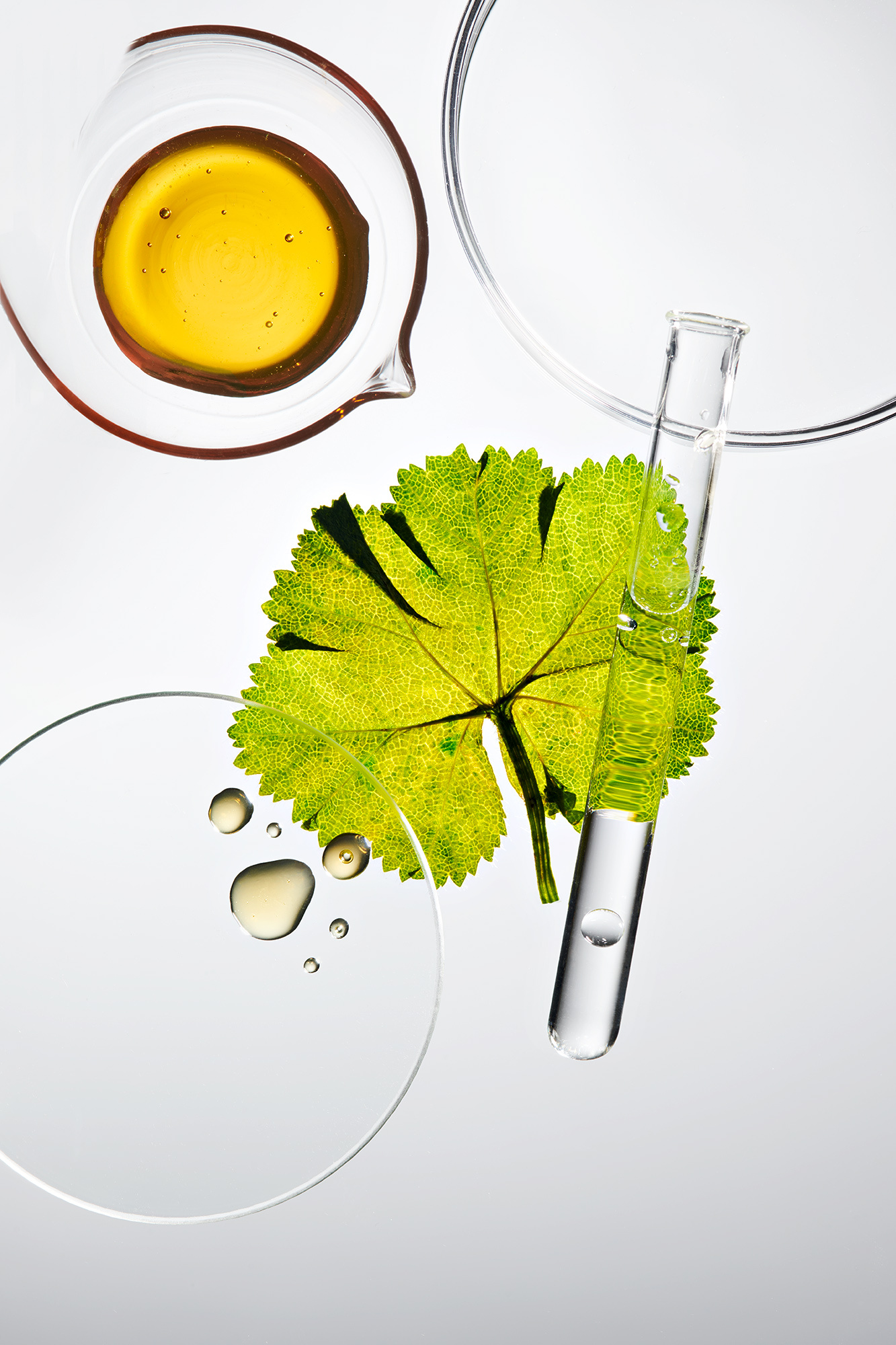 Amara Tropfen Weleda